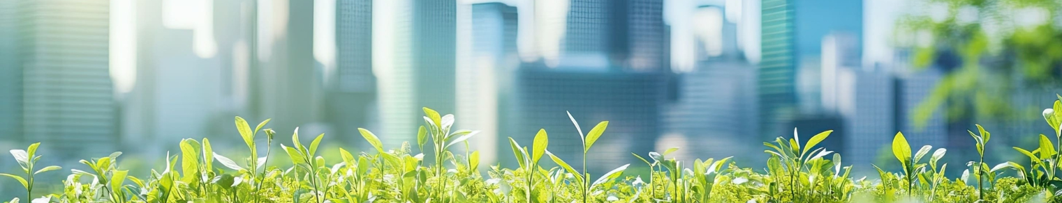 que-es-la-construccion-sostenible