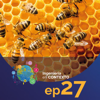 Lo que las organizaciones pueden aprender de las abejas Pontificia Universidad Javeriana