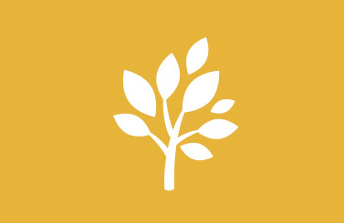 Agricultura de precisión Pontificia Universidad Javeriana