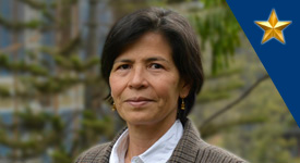 Martha Ruth Manrique Torres, Ph.D. Pontificia Universidad Javeriana