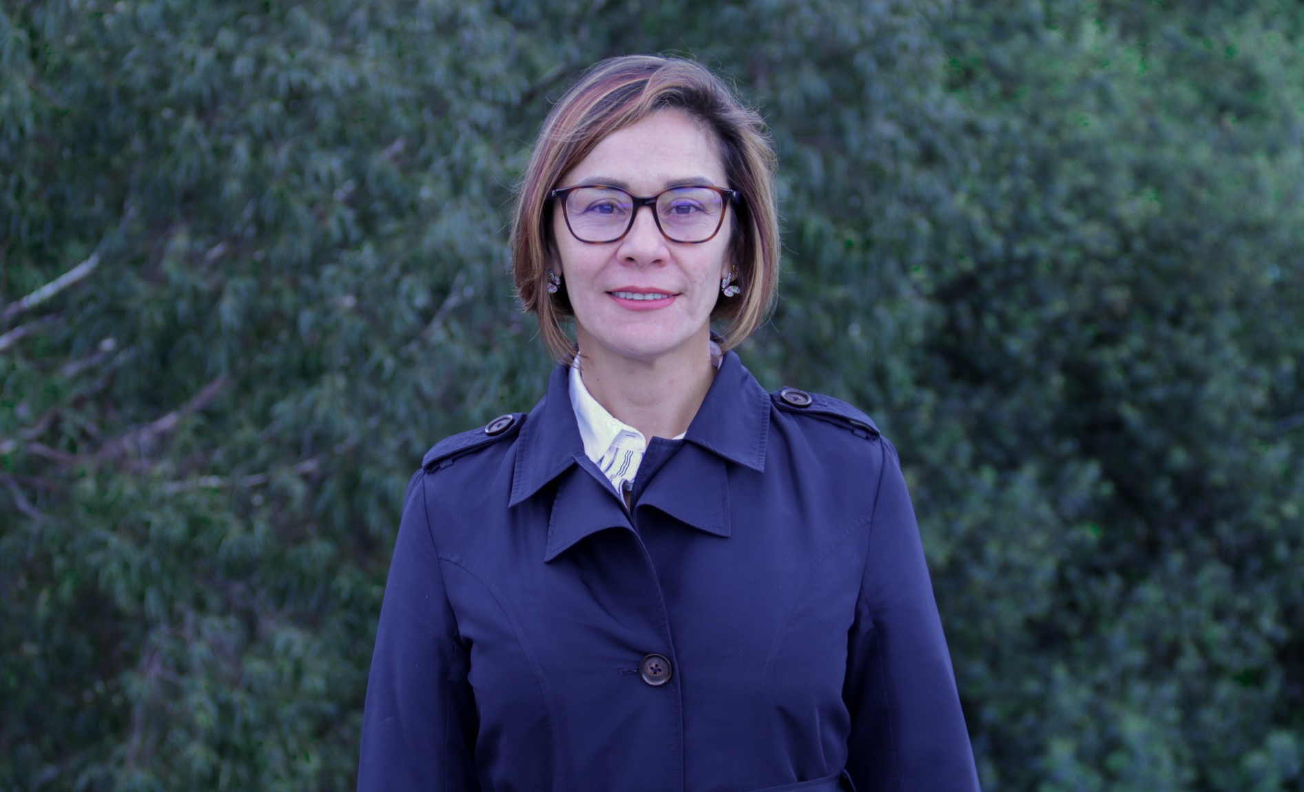 Fidson Juarismy Vesga Perez, PhD